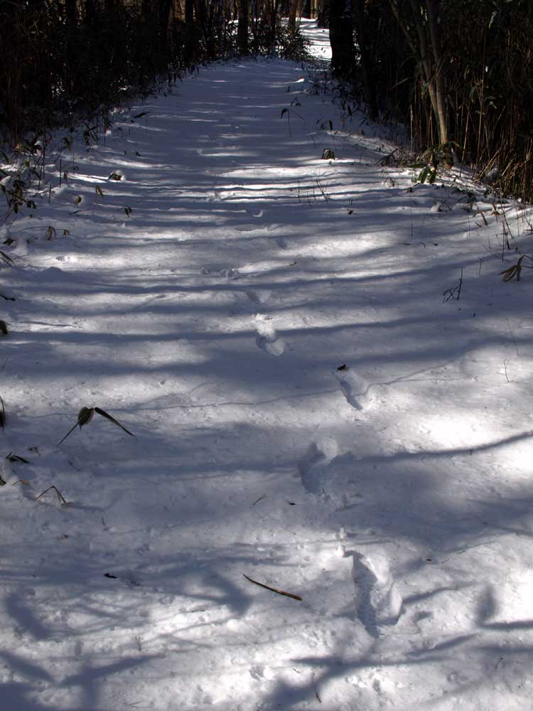 c0145418_2129278.jpg