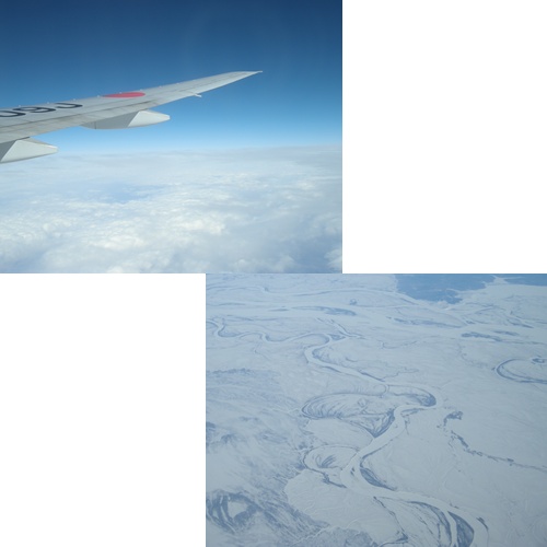 d0080118_2022998.jpg