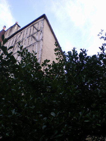 c0124619_7422768.jpg