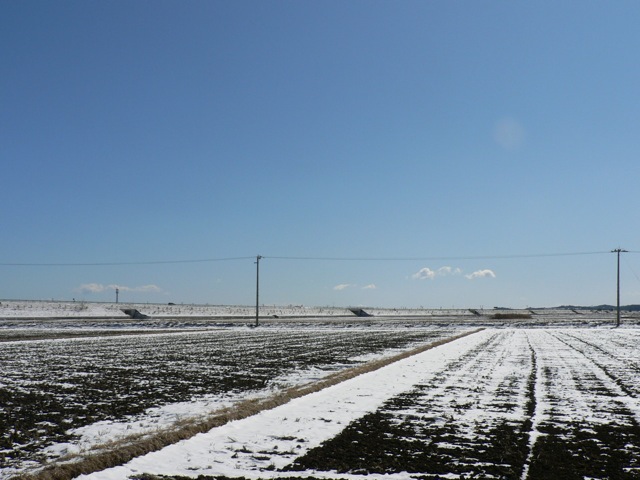 f0143119_18452874.jpg