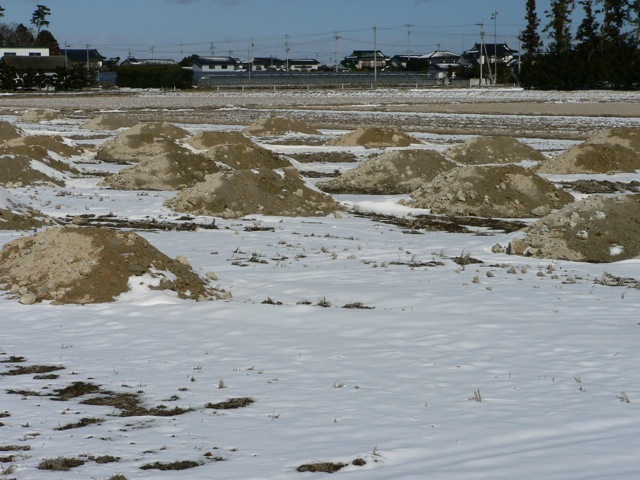 f0143119_18454576.jpg