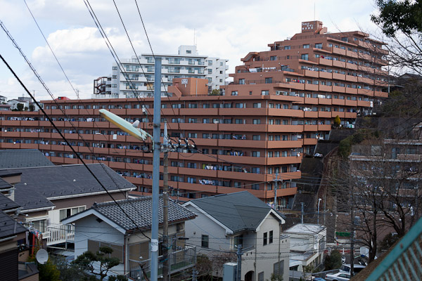 f0077521_1444109.jpg