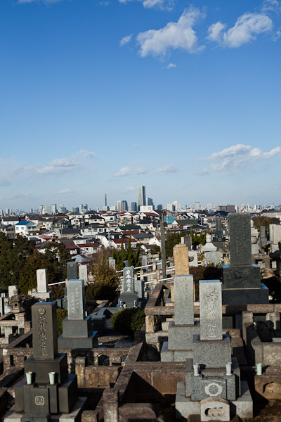 f0077521_1603497.jpg
