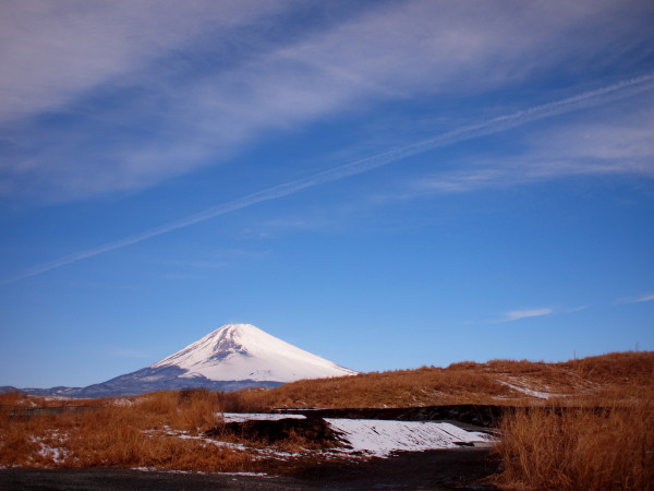 富士山assort_a0160523_9501011.jpg