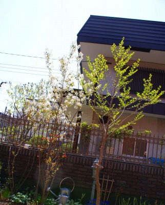 f0170524_11263952.jpg