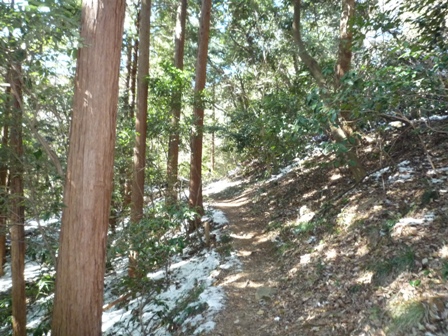 a0076428_202805.jpg