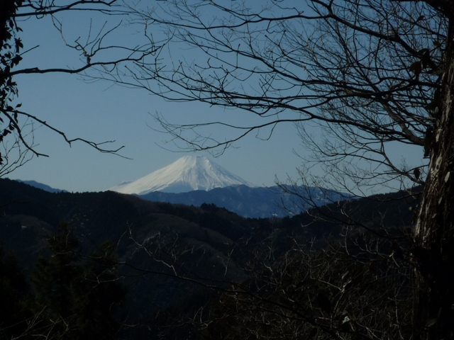 a0076428_20294062.jpg