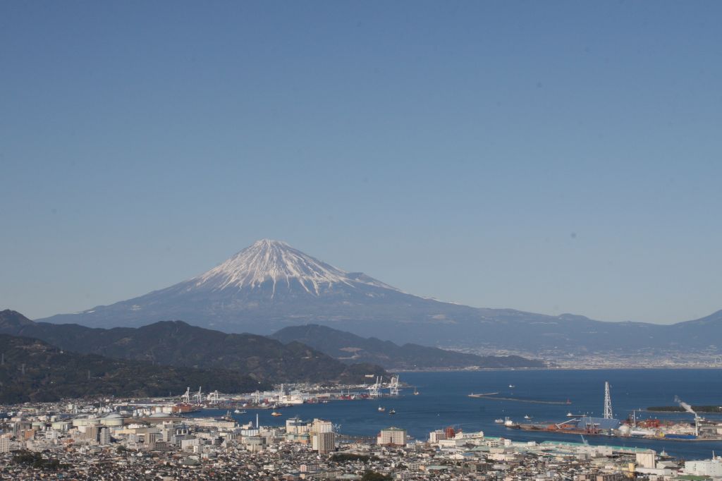 日本平の梅　（梅花　その３）_e0033229_194999.jpg