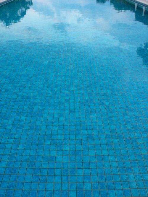 d0125535_1563391.jpg