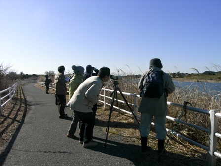 水辺の鳥たちを観察しよう_a0123836_14264237.jpg