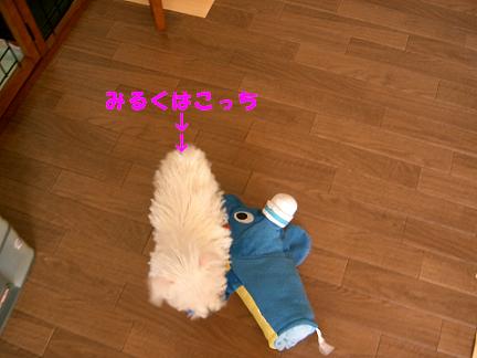 c0212637_0423734.jpg