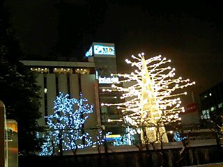c0117239_8522026.jpg