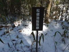 大きな穴を見て思う・・・_f0019247_22562444.jpg