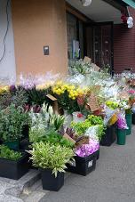 *西麻布・花屋*_c0187754_1965527.jpg