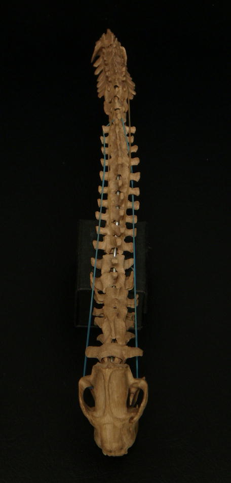 e0064457_23124176.jpg