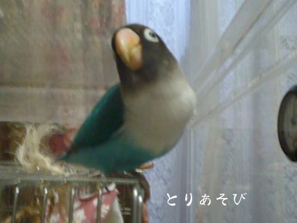ひねもすのたり_e0147757_2126224.jpg