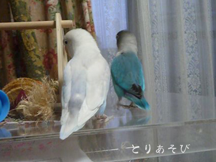 ひねもすのたり_e0147757_21333383.jpg