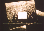 c0212158_13495349.jpg