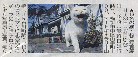 第1回 猫・ねこ 写真展 が東京新聞で紹介されました Art Gallery 山手 横浜_f0117059_176666.jpg