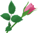 e0129862_15182720.gif