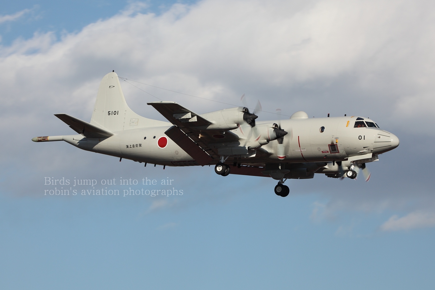 NAF-Atsugi February 5,2010_a0161664_8301751.jpg