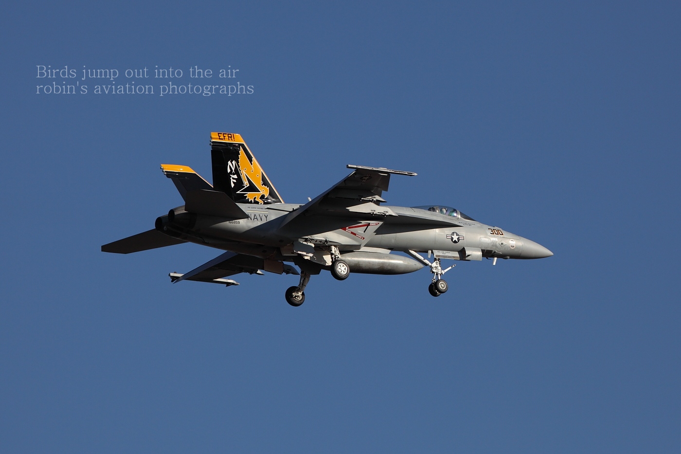 NAF-Atsugi February 5,2010_a0161664_830403.jpg