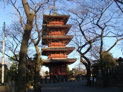 お散歩、でも風強い (大田区)_d0132289_18512971.jpg