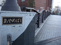 お散歩、でも風強い (大田区)_d0132289_18551186.jpg