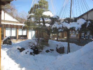 c0133096_20185058.jpg
