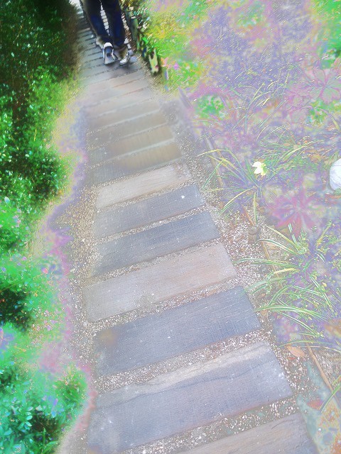 ぼくはぼくの道をゆくよ_c0198903_11454624.jpg