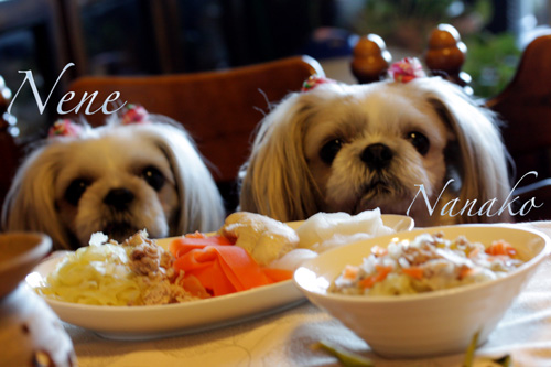 食卓につく愛犬たち（日曜日のブランチ）_c0011204_2274812.jpg