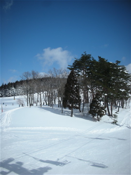 今年もスキーに_c0145209_17451779.jpg