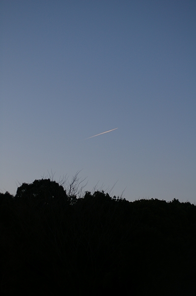 c0224013_17455029.jpg