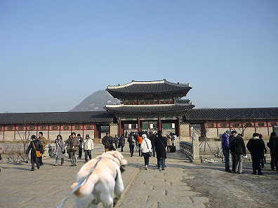 f0191413_10501446.jpg