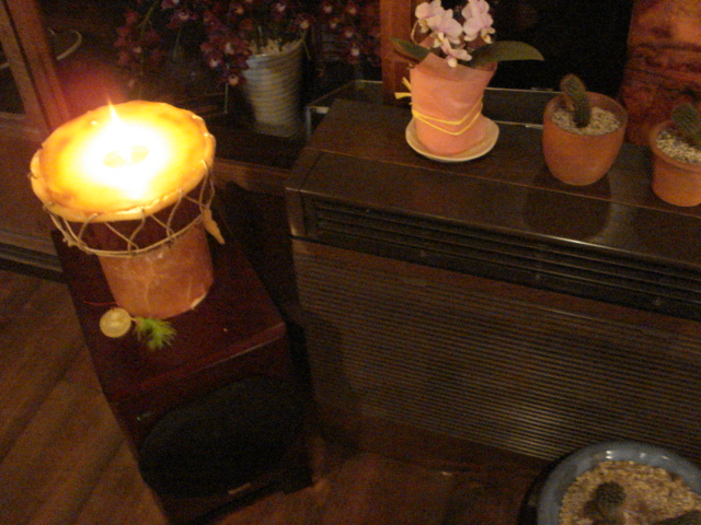 a0147416_1623759.jpg