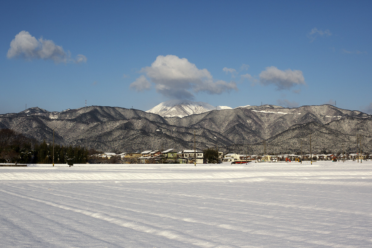c0115616_7361842.jpg