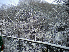 ほんのわずかな雪景色_b0080720_0195631.jpg