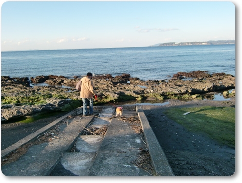 アリスとの12回目の旅行・房総へ・『館山の海岸へ』編_f0182121_8521424.jpg