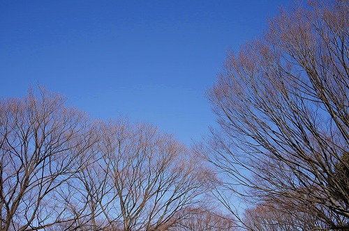 d0023323_0112041.jpg