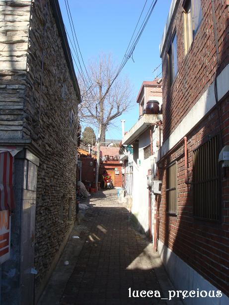f0109825_024208.jpg