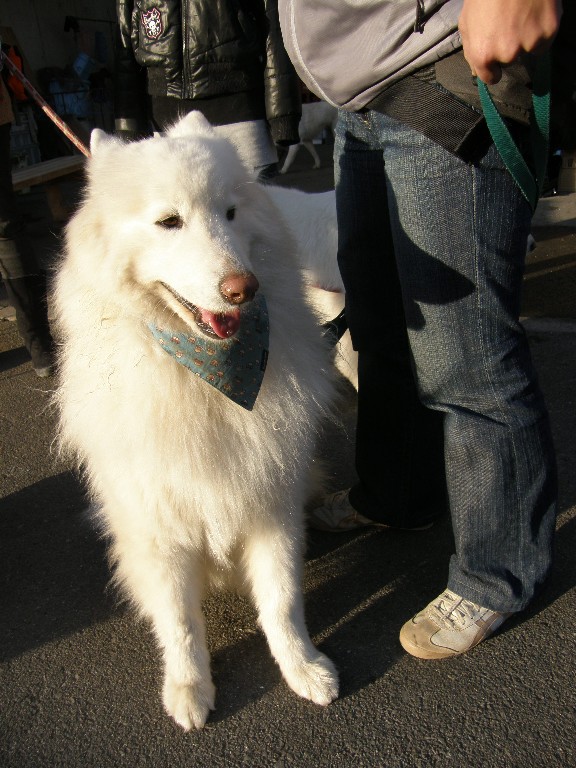 f0128542_15363.jpg
