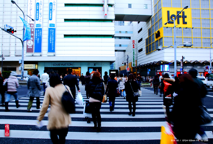 \"Crosswalk\" KOBE #07. January 2010_c0187744_16474727.jpg