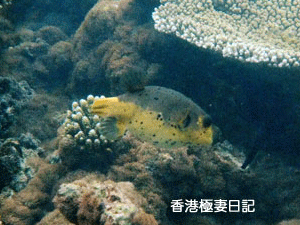 f0190653_1016205.gif