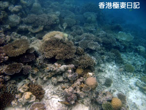 f0190653_9173624.jpg