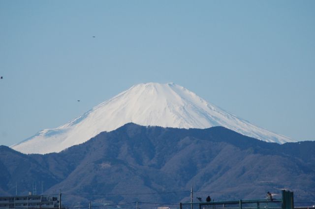 f0021654_005324.jpg