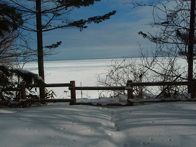 e0004756_202540100.jpg