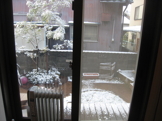 雪が積もりました☆_f0109257_9242568.jpg
