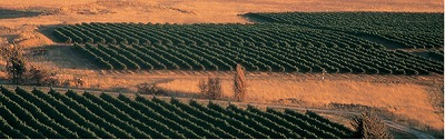 c0185058_44235.jpg