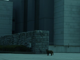c0047860_23185739.jpg