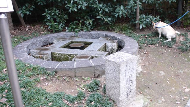 f0143269_23425923.jpg
